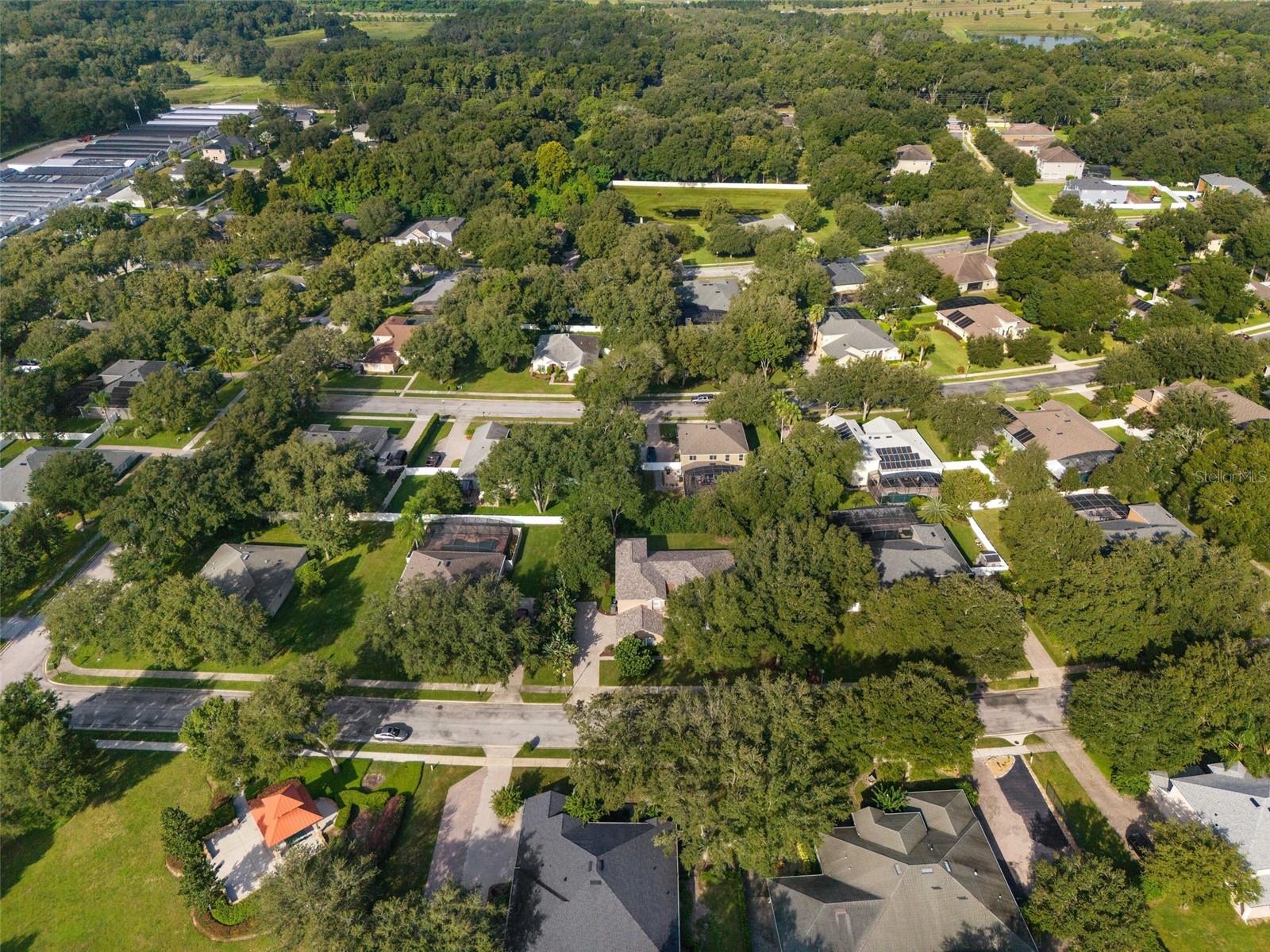 2628 GLEN FOREST DR, APOPKA, FL, 32712