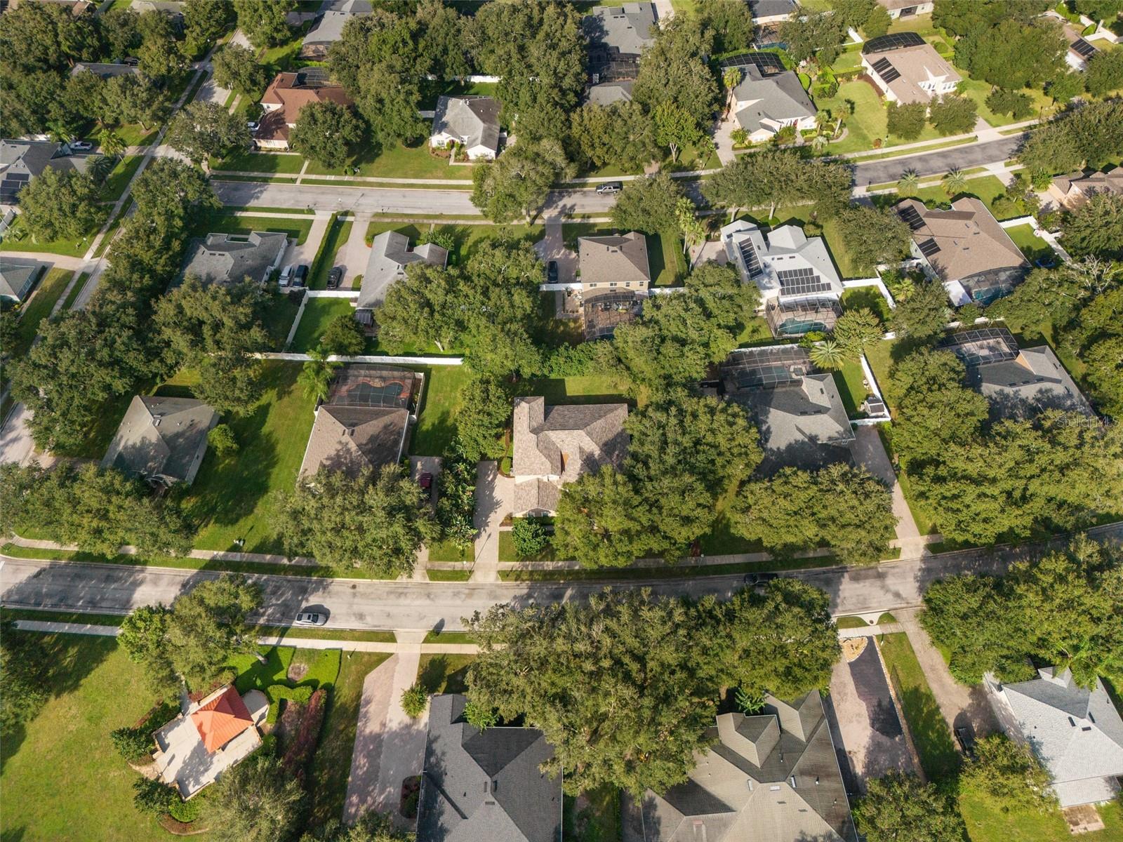 2628 GLEN FOREST DR, APOPKA, FL, 32712