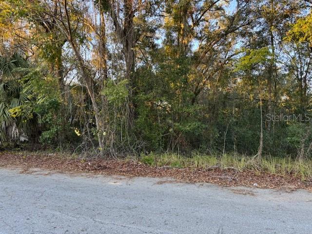 10689 SE 130TH LN, OCKLAWAHA, FL, 32179