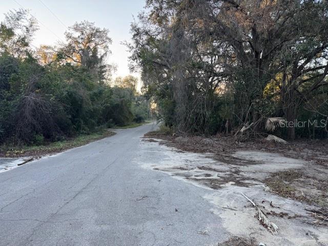 10689 SE 130TH LN, OCKLAWAHA, FL, 32179