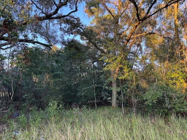 10689 SE 130TH LN, OCKLAWAHA, FL, 32179