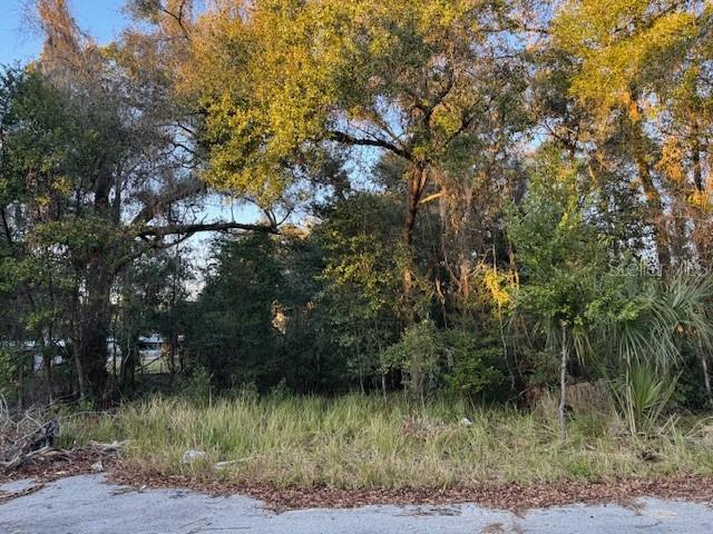 10689 SE 130TH LN, OCKLAWAHA, FL, 32179
