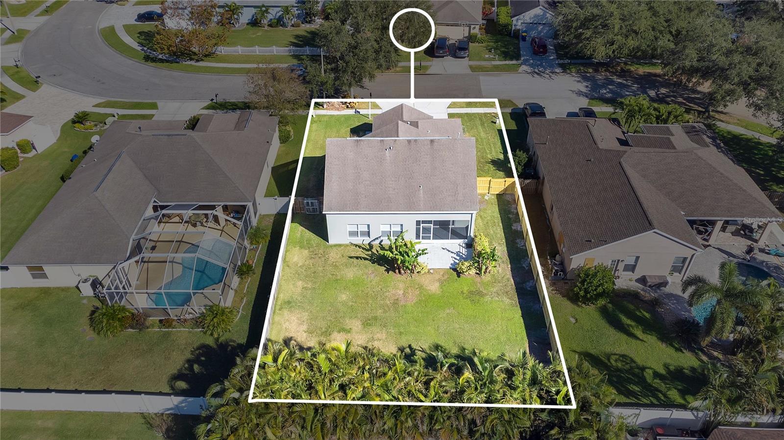 8823 TORCHWOOD DR, TRINITY, FL, 34655