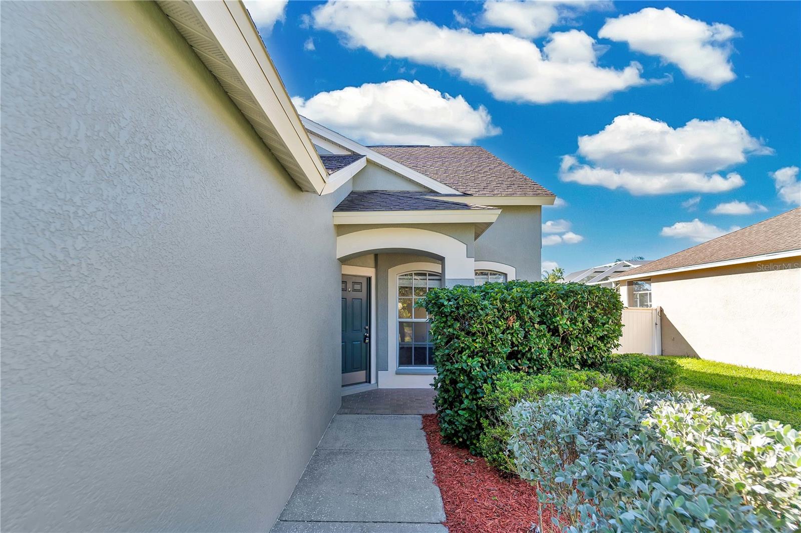 8823 TORCHWOOD DR, TRINITY, FL, 34655