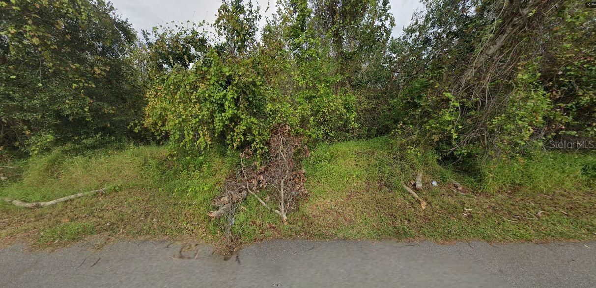 W ORANGE COUNTRY CLUB DR, WINTER GARDEN, FL, 34787