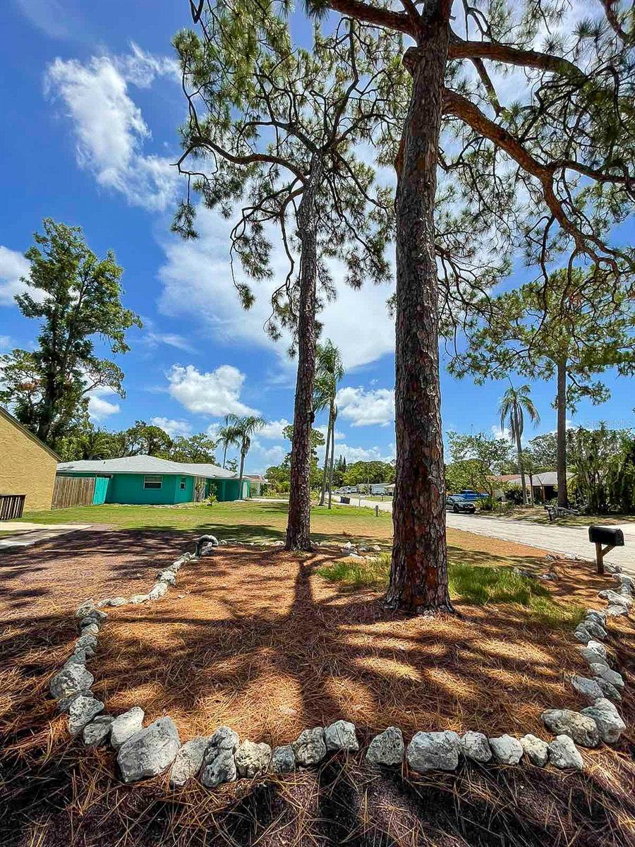 2315 RIVERWOOD PINES DR, SARASOTA, FL, 34231