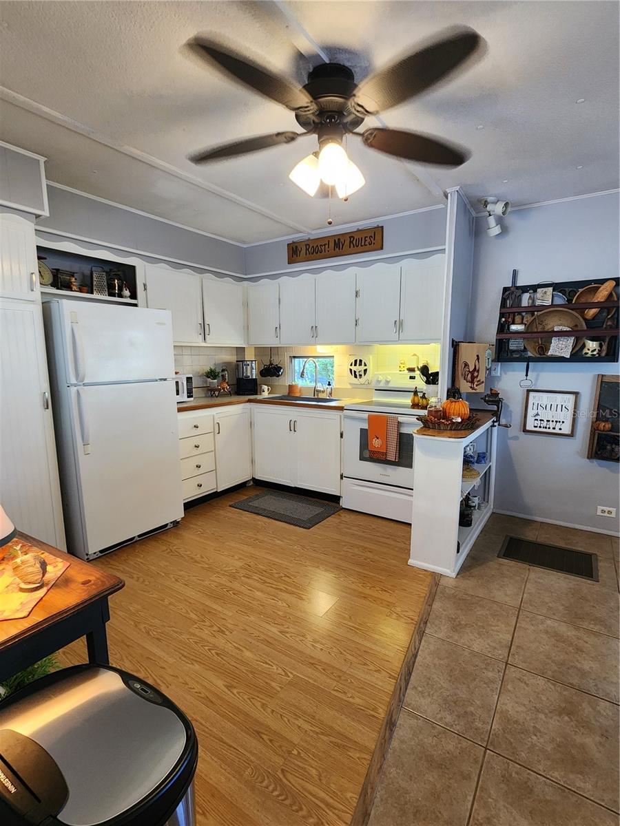 3896 PICCIOLA RD #512, FRUITLAND PARK, FL, 34731