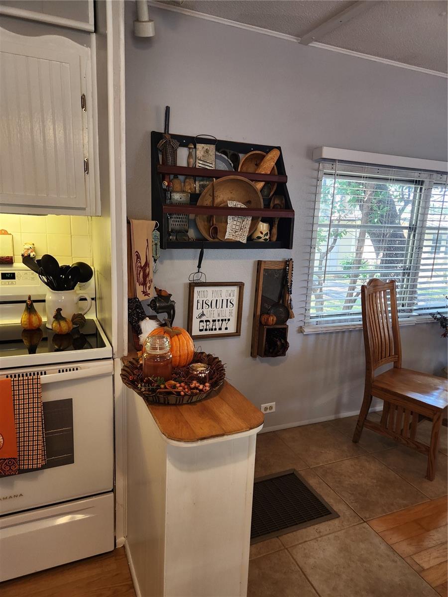 3896 PICCIOLA RD #512, FRUITLAND PARK, FL, 34731