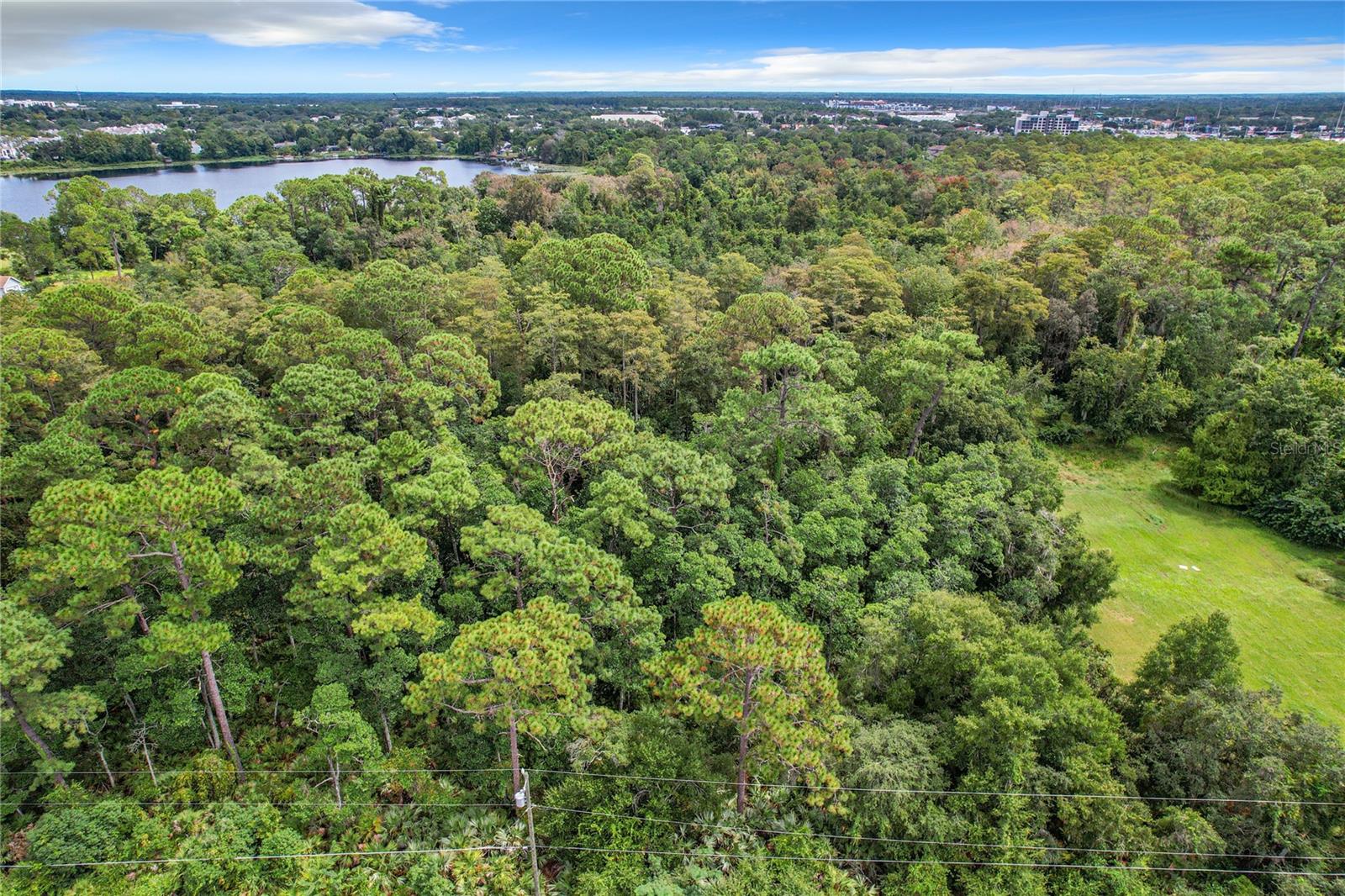 1893 ROUSE LAKE RD, ORLANDO, FL, 32817