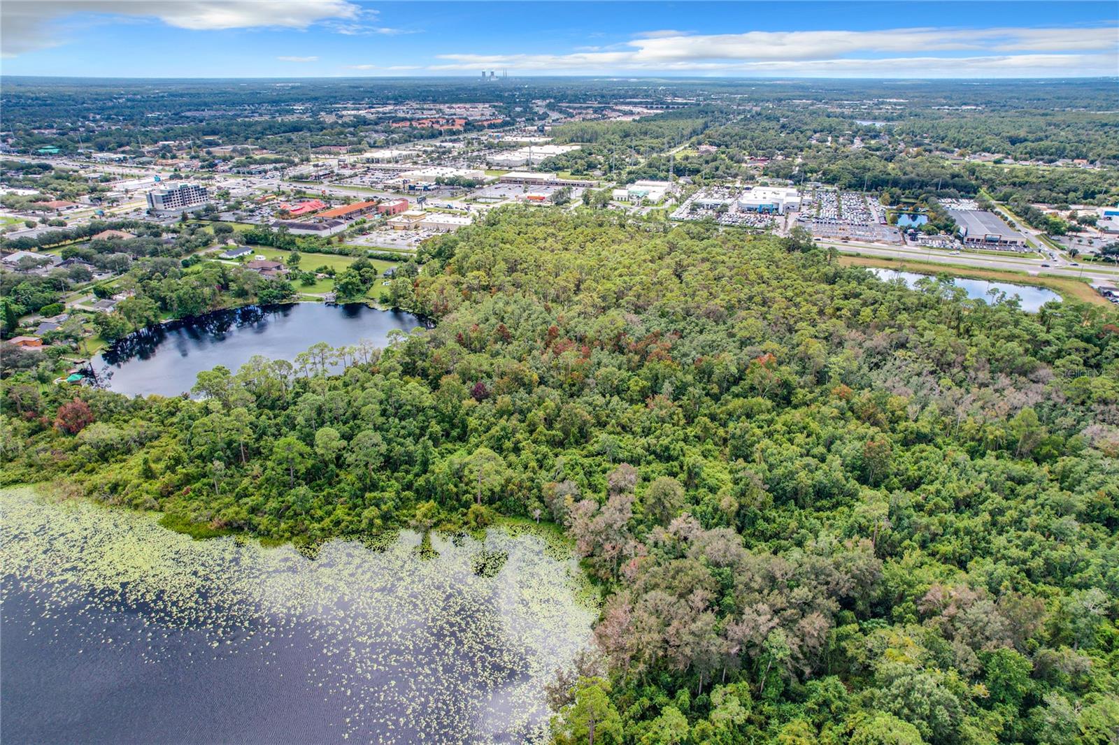 1893 ROUSE LAKE RD, ORLANDO, FL, 32817