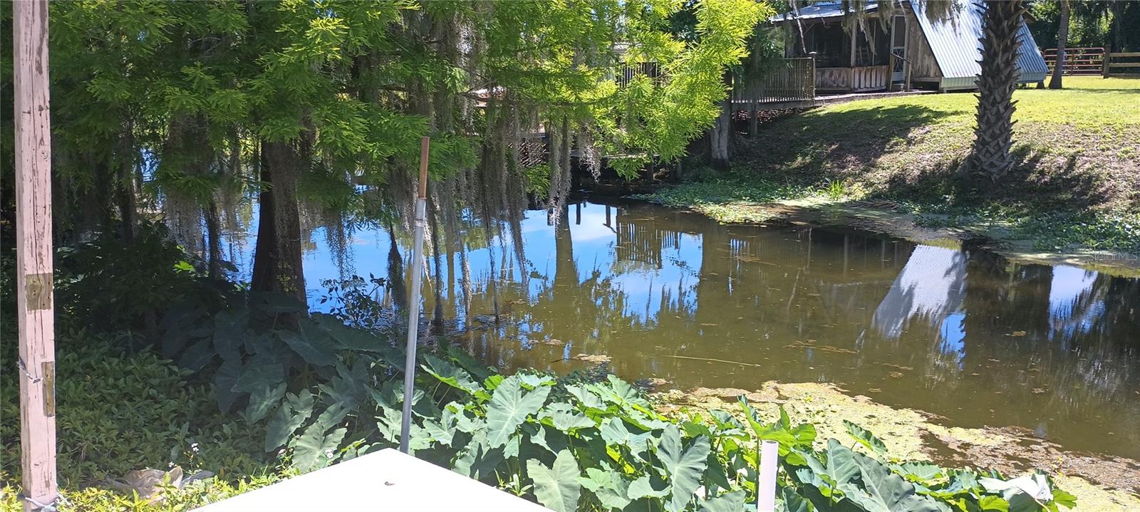 681 CR 485A, LAKE PANASOFFKEE, FL, 33538
