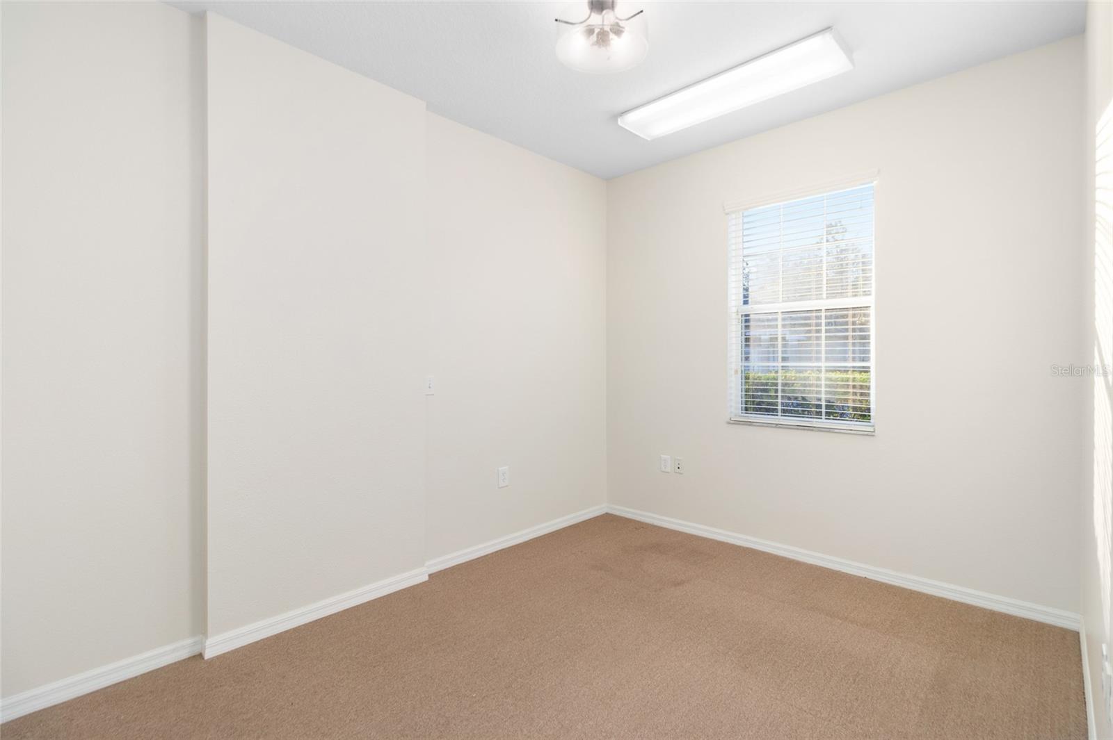 3717 TURMAN LOOP #101, WESLEY CHAPEL, FL, 33544