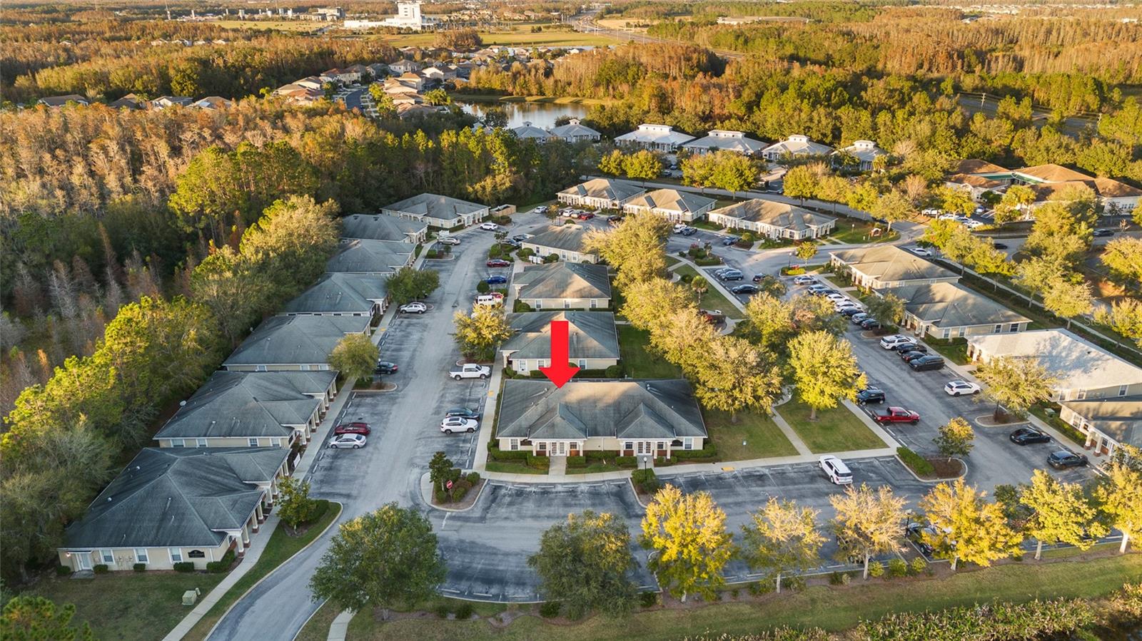 3717 TURMAN LOOP #101, WESLEY CHAPEL, FL, 33544