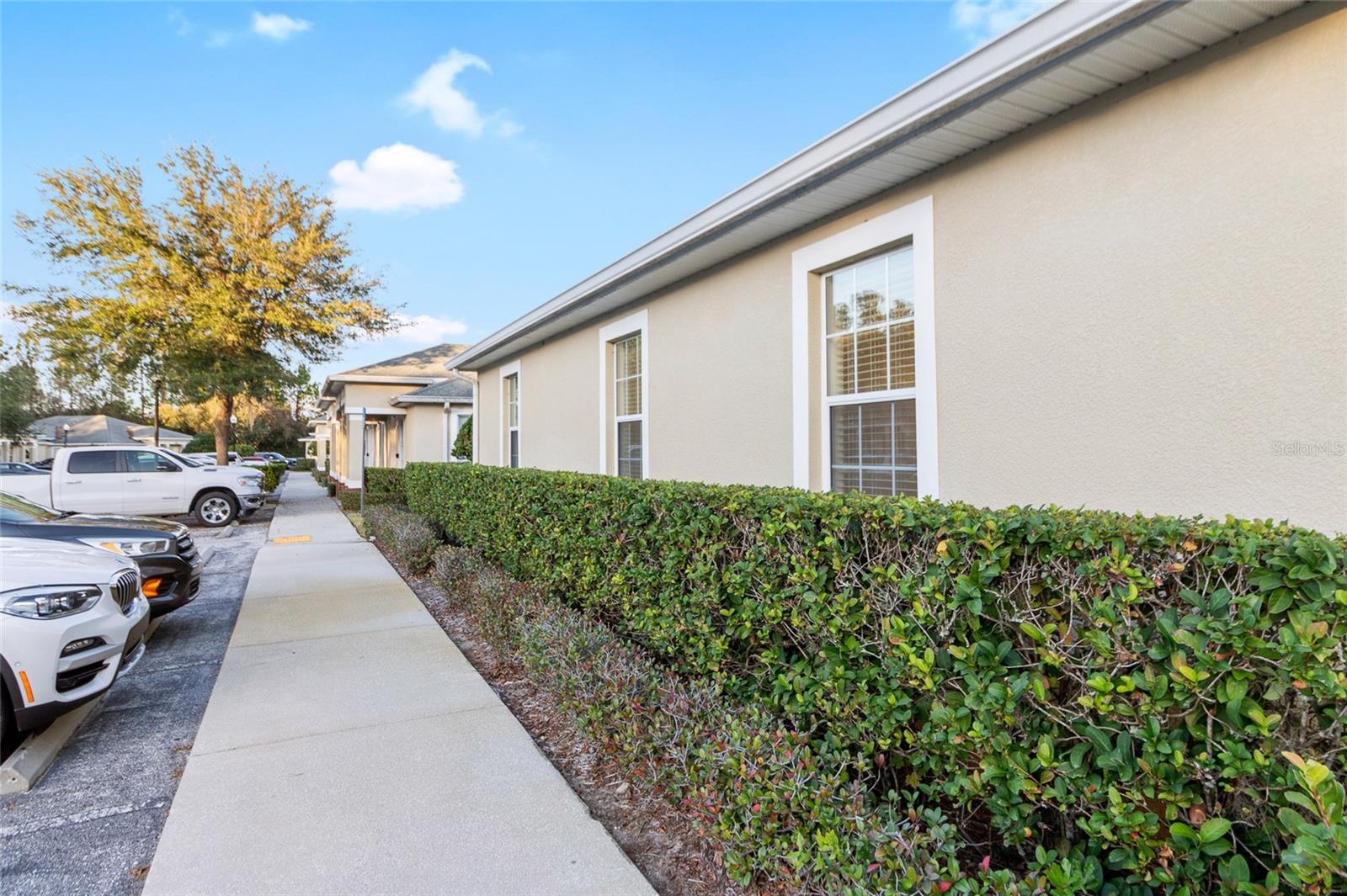 3717 TURMAN LOOP #101, WESLEY CHAPEL, FL, 33544