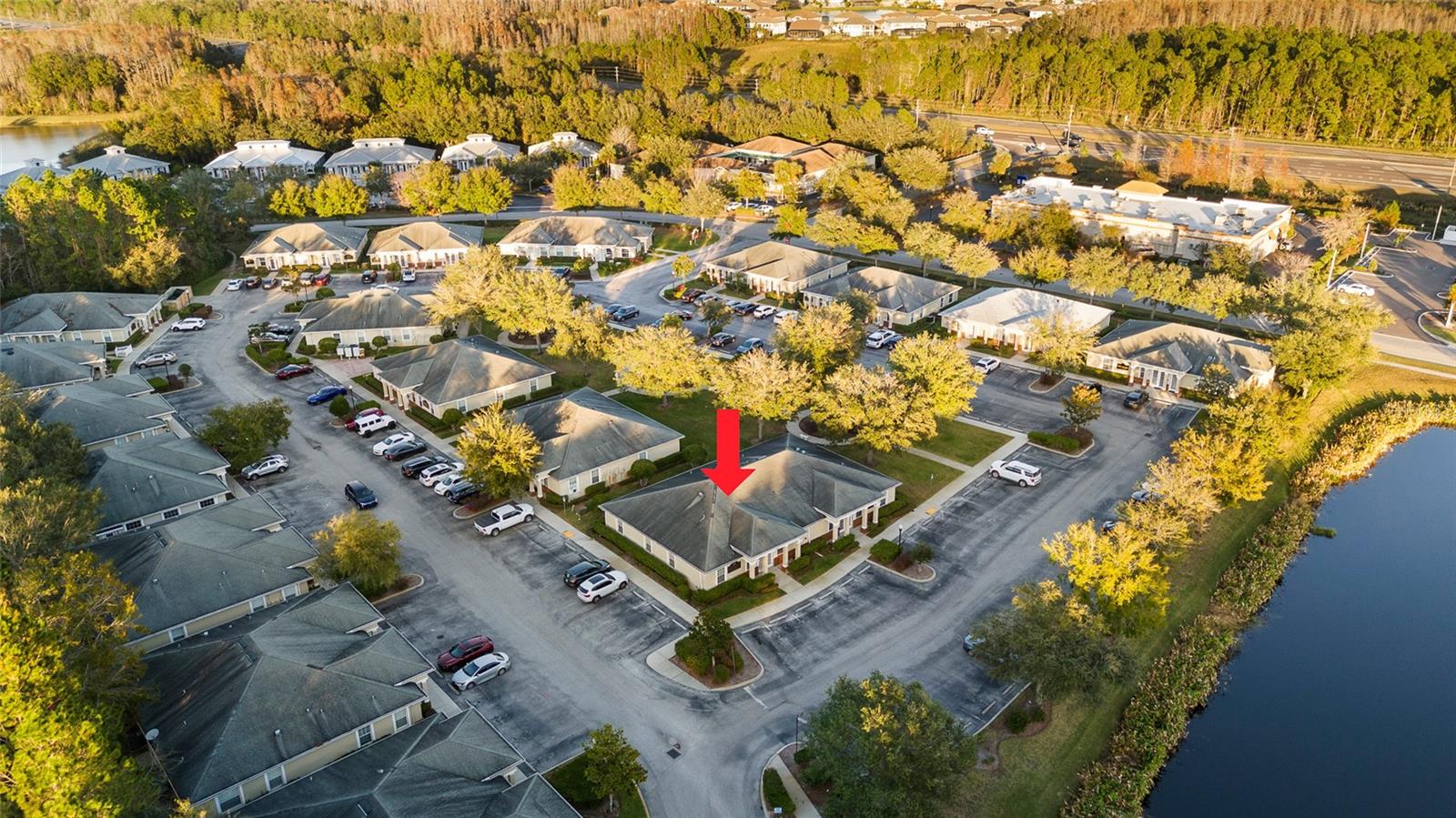 3717 TURMAN LOOP #101, WESLEY CHAPEL, FL, 33544