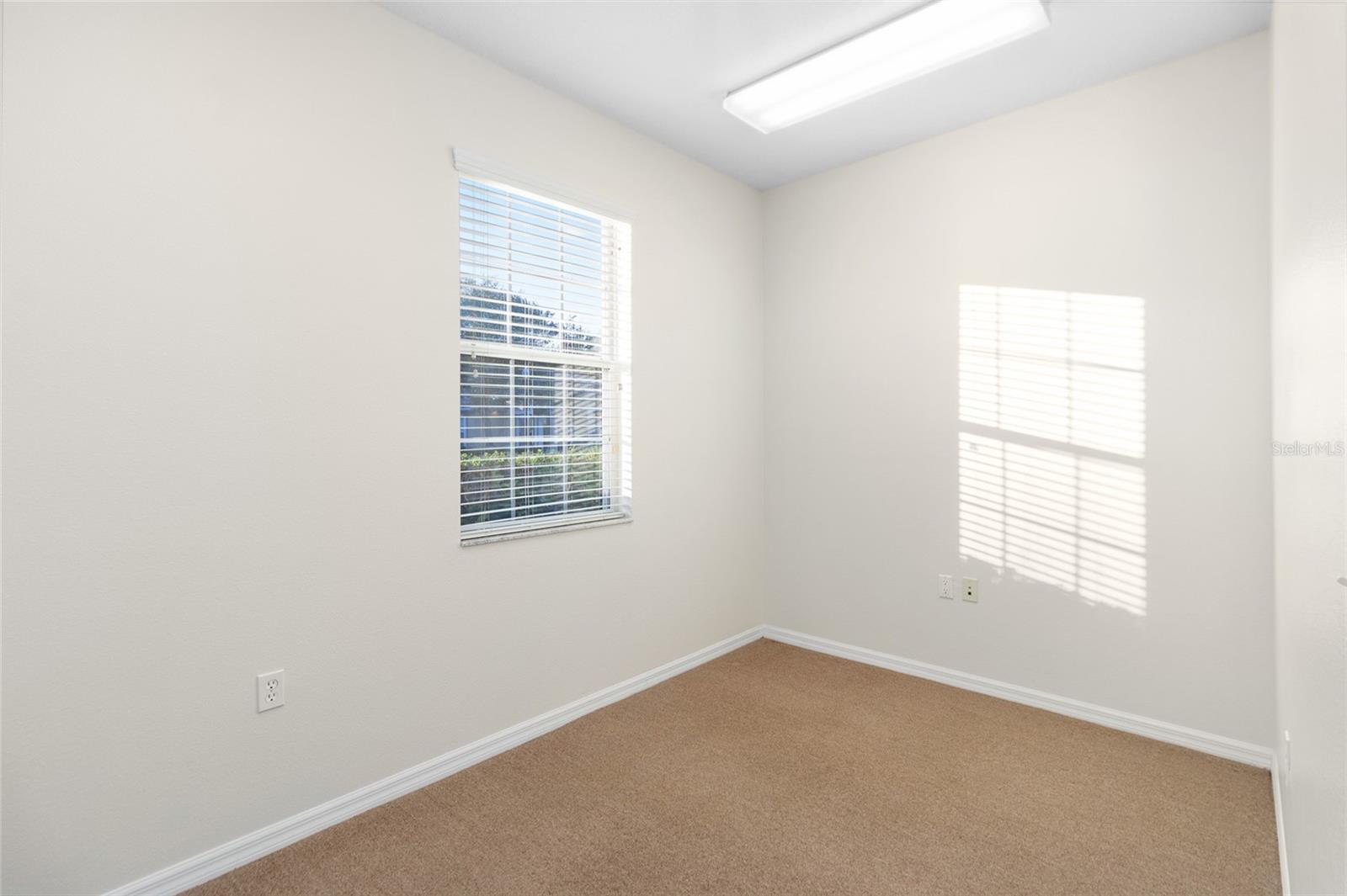 3717 TURMAN LOOP #101, WESLEY CHAPEL, FL, 33544