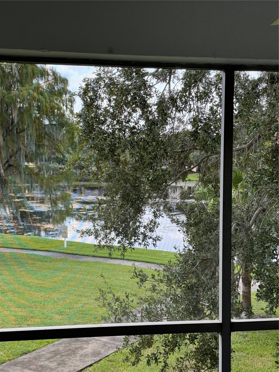 10380 CARROLLWOOD LN #266, TAMPA, FL, 33618