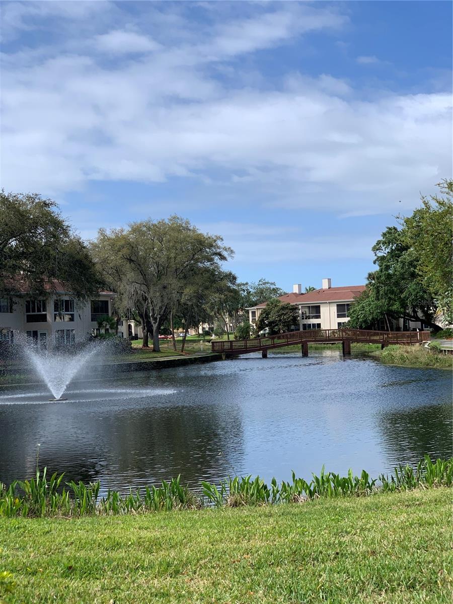 10380 CARROLLWOOD LN #266, TAMPA, FL, 33618