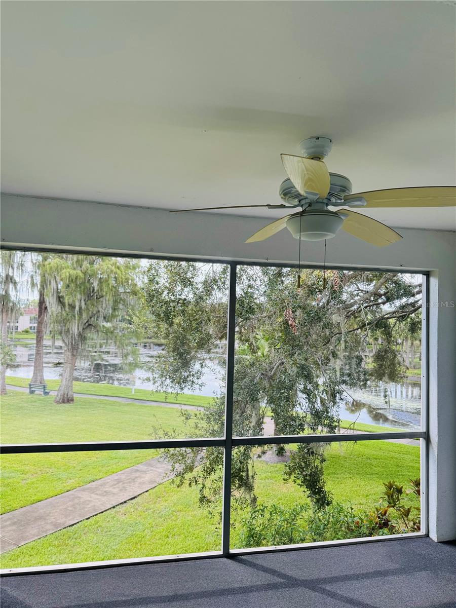 10380 CARROLLWOOD LN #266, TAMPA, FL, 33618