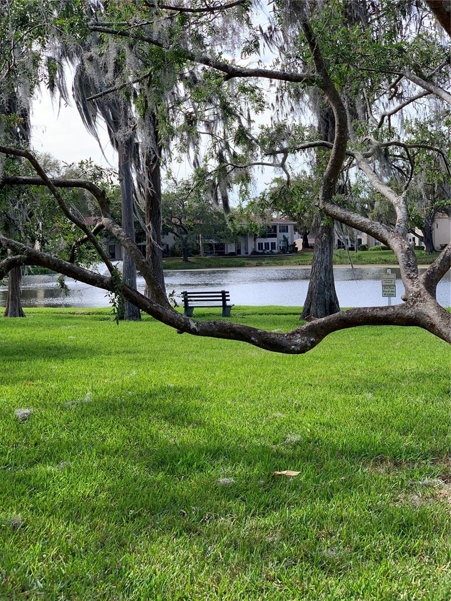 10380 CARROLLWOOD LN #266, TAMPA, FL, 33618