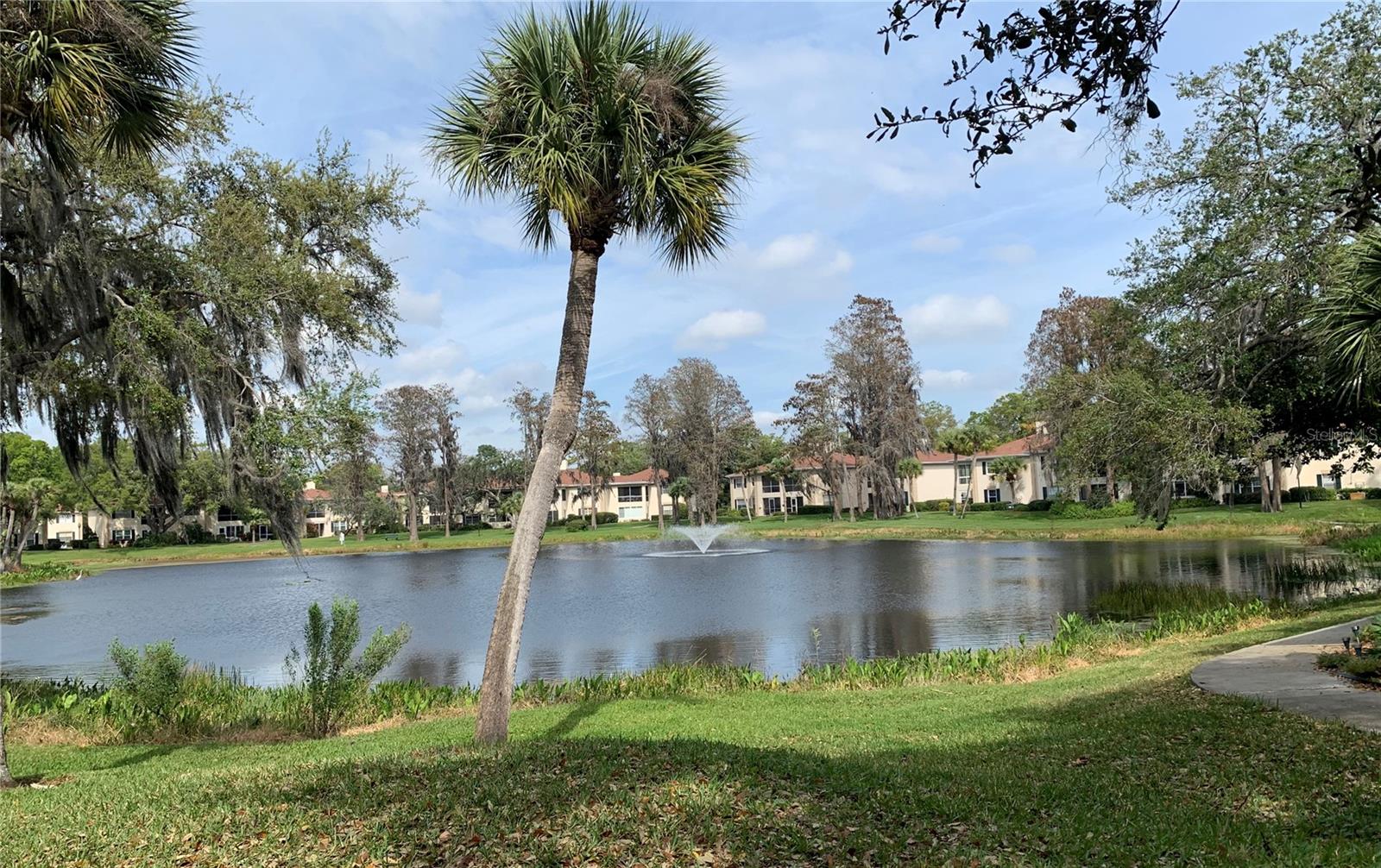 10380 CARROLLWOOD LN #266, TAMPA, FL, 33618