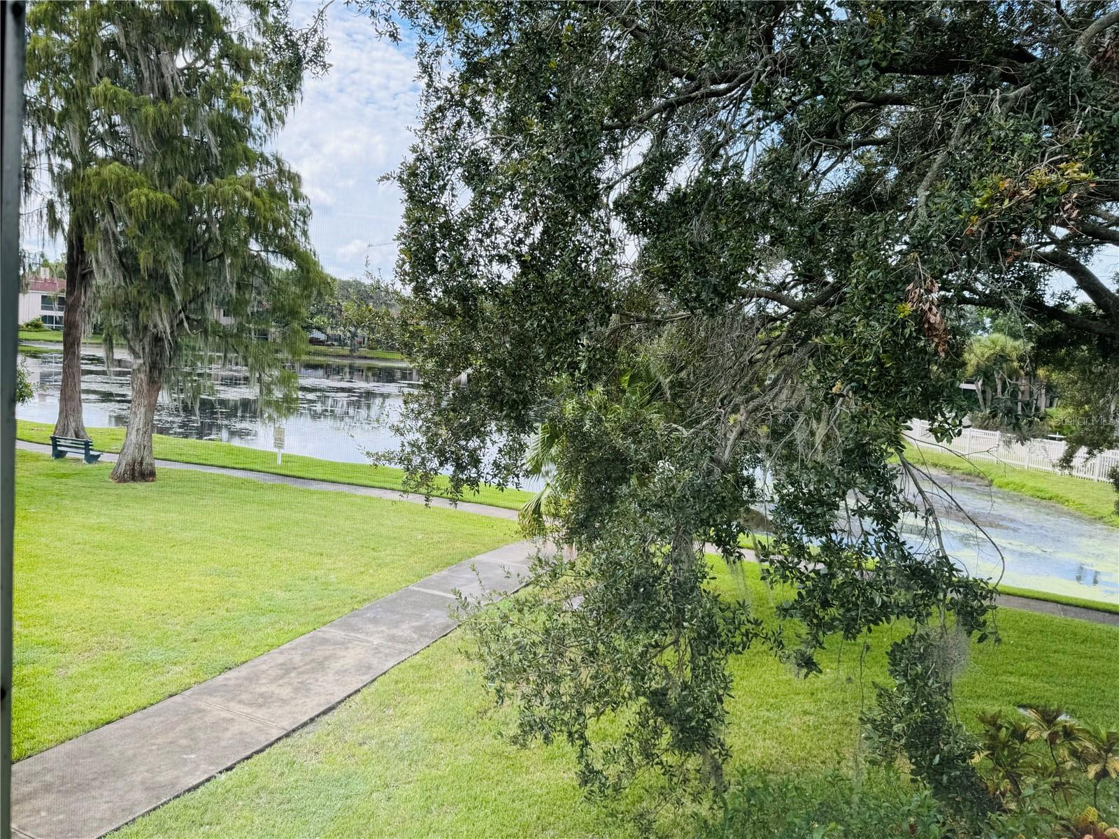 10380 CARROLLWOOD LN #266, TAMPA, FL, 33618