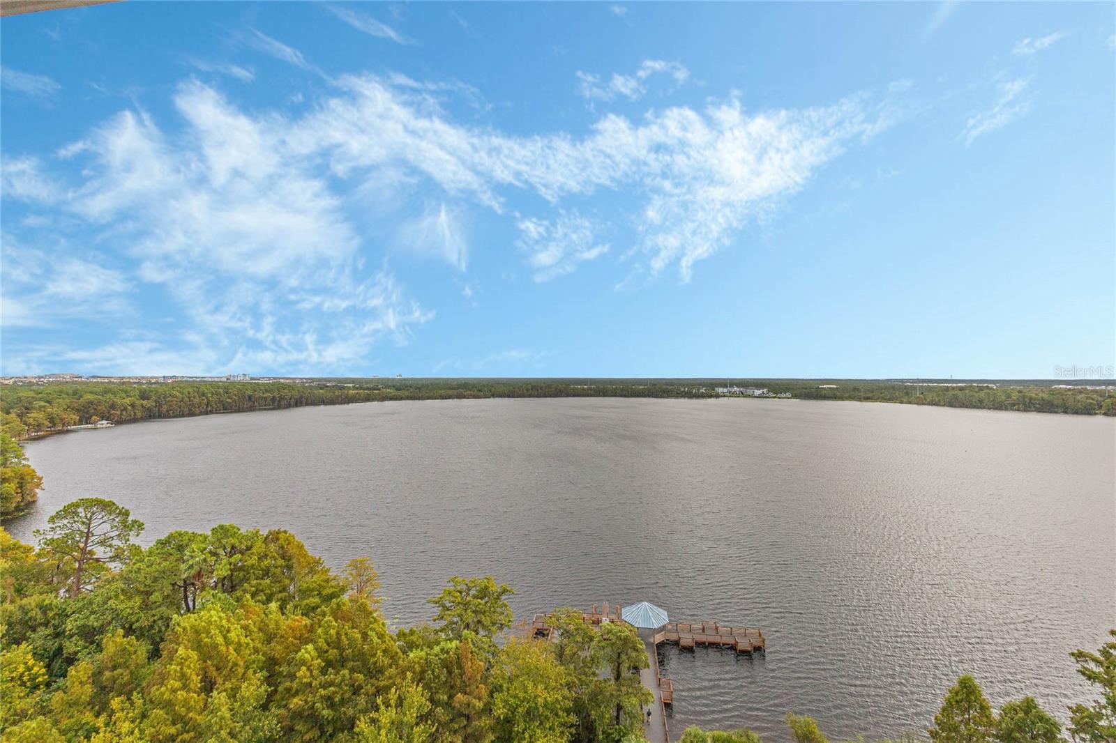 13415 BLUE HERON BEACH DR #1207, ORLANDO, FL, 32821