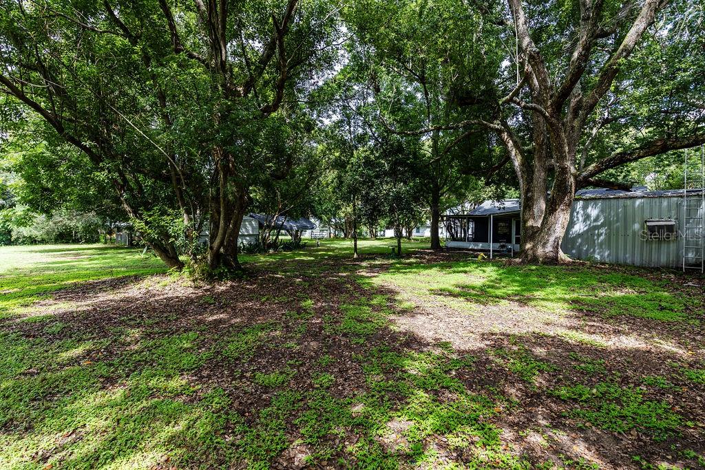 104 FRUITWOOD AVE, EUSTIS, FL, 32726