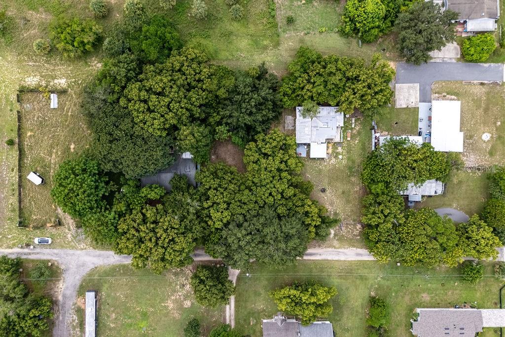 104 FRUITWOOD AVE, EUSTIS, FL, 32726