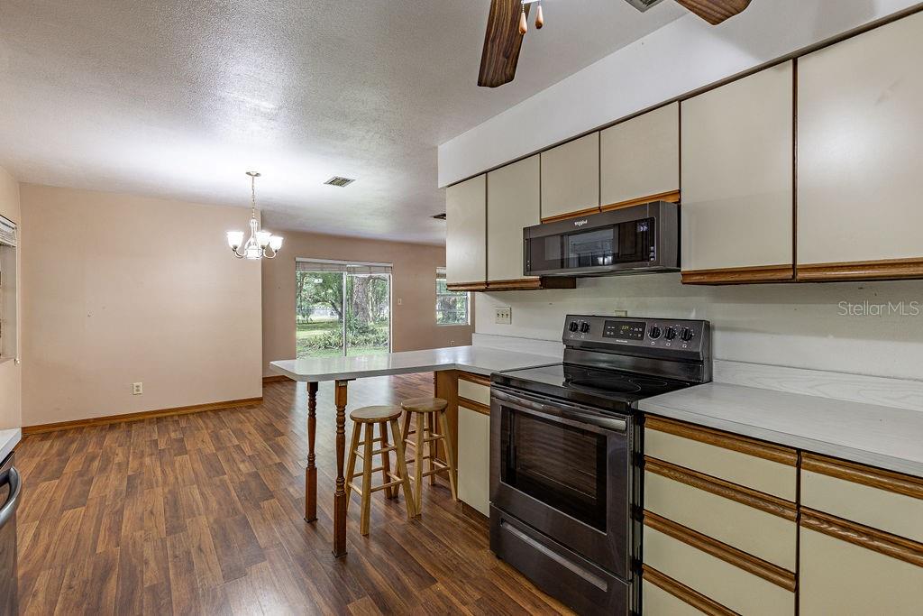 104 FRUITWOOD AVE, EUSTIS, FL, 32726