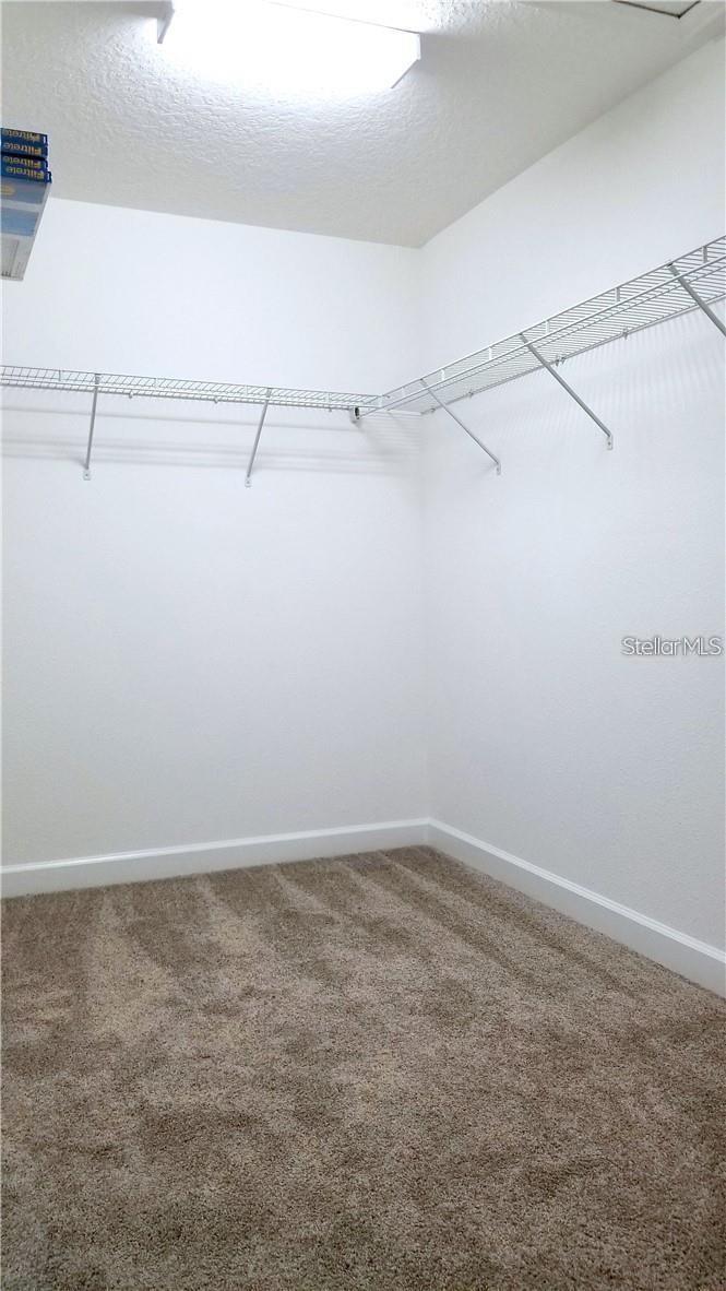 11007 BOOKMARK LN, WINTER GARDEN, FL, 34787