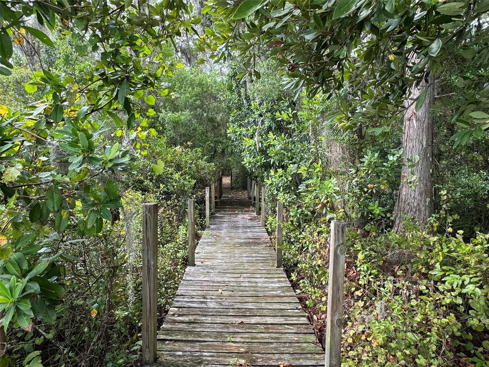 SW 80TH PL, HAMPTON, FL, 32044