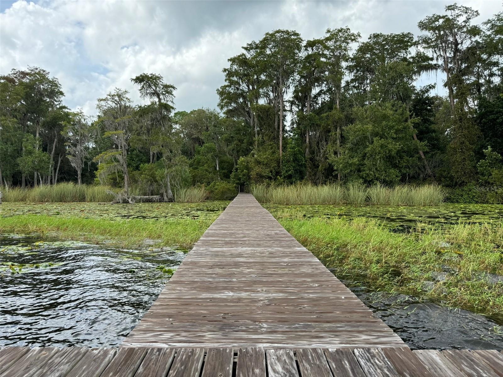 SW 80TH PL, HAMPTON, FL, 32044