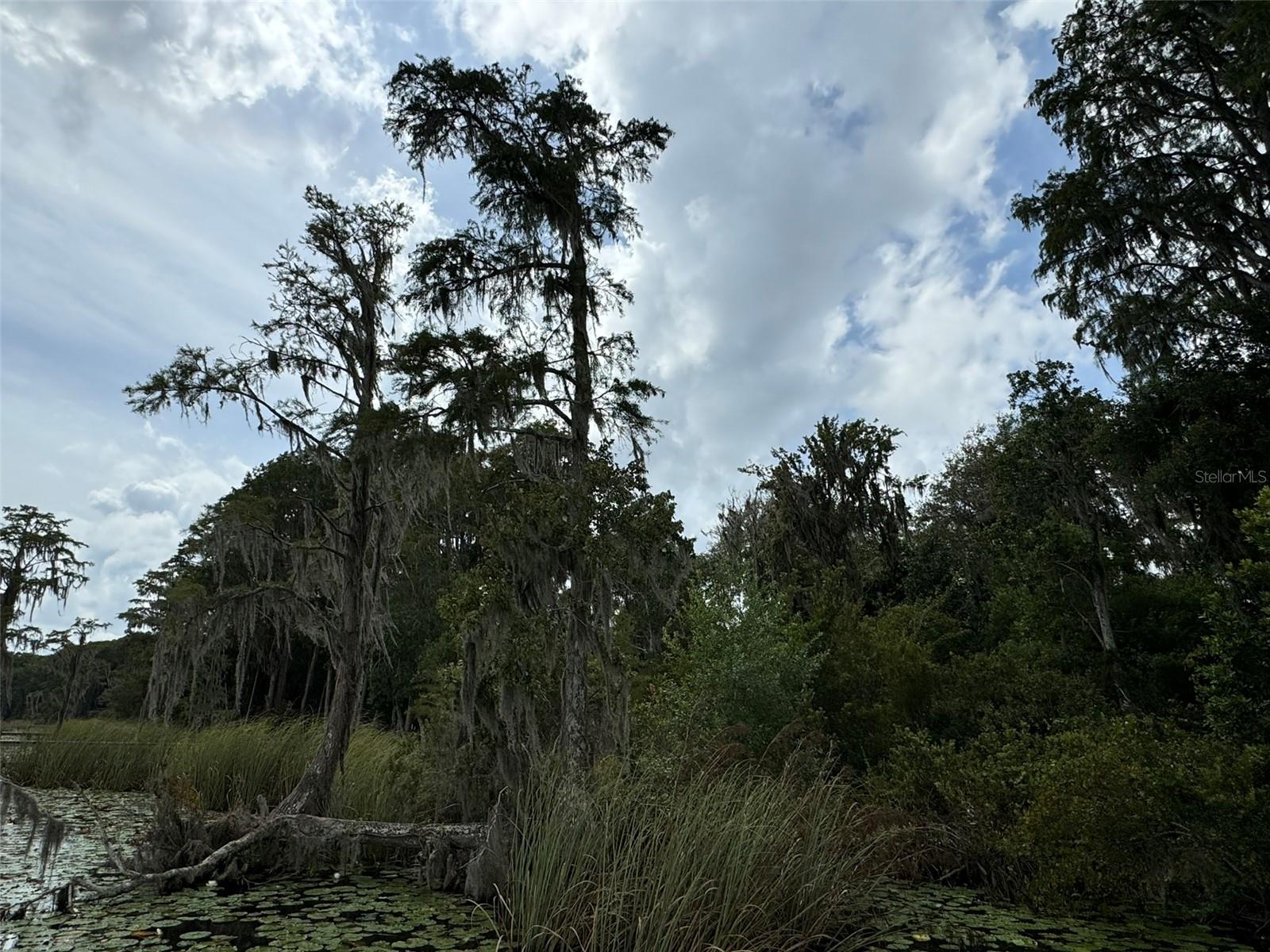 SW 80TH PL, HAMPTON, FL, 32044