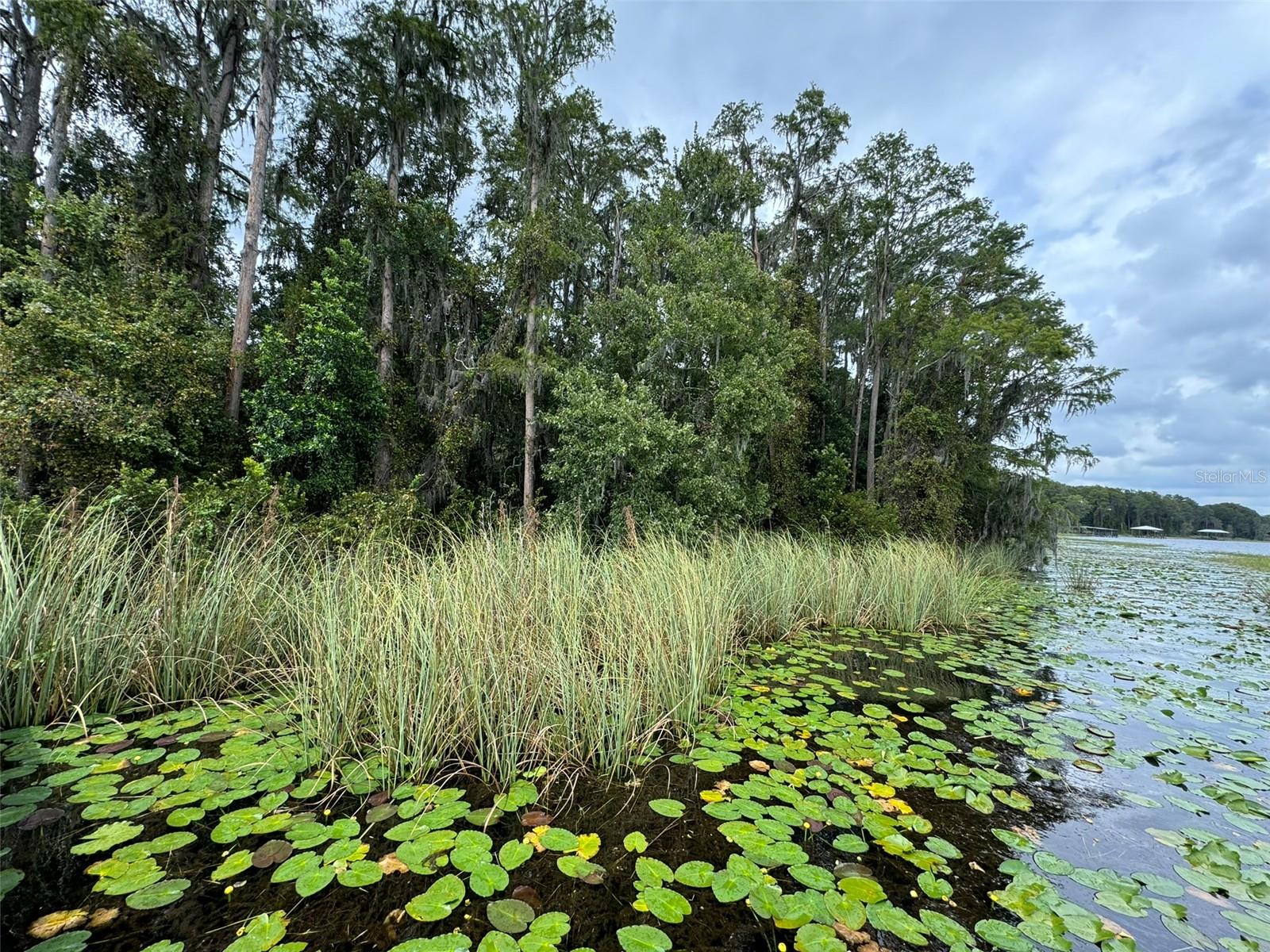 SW 80TH PL, HAMPTON, FL, 32044