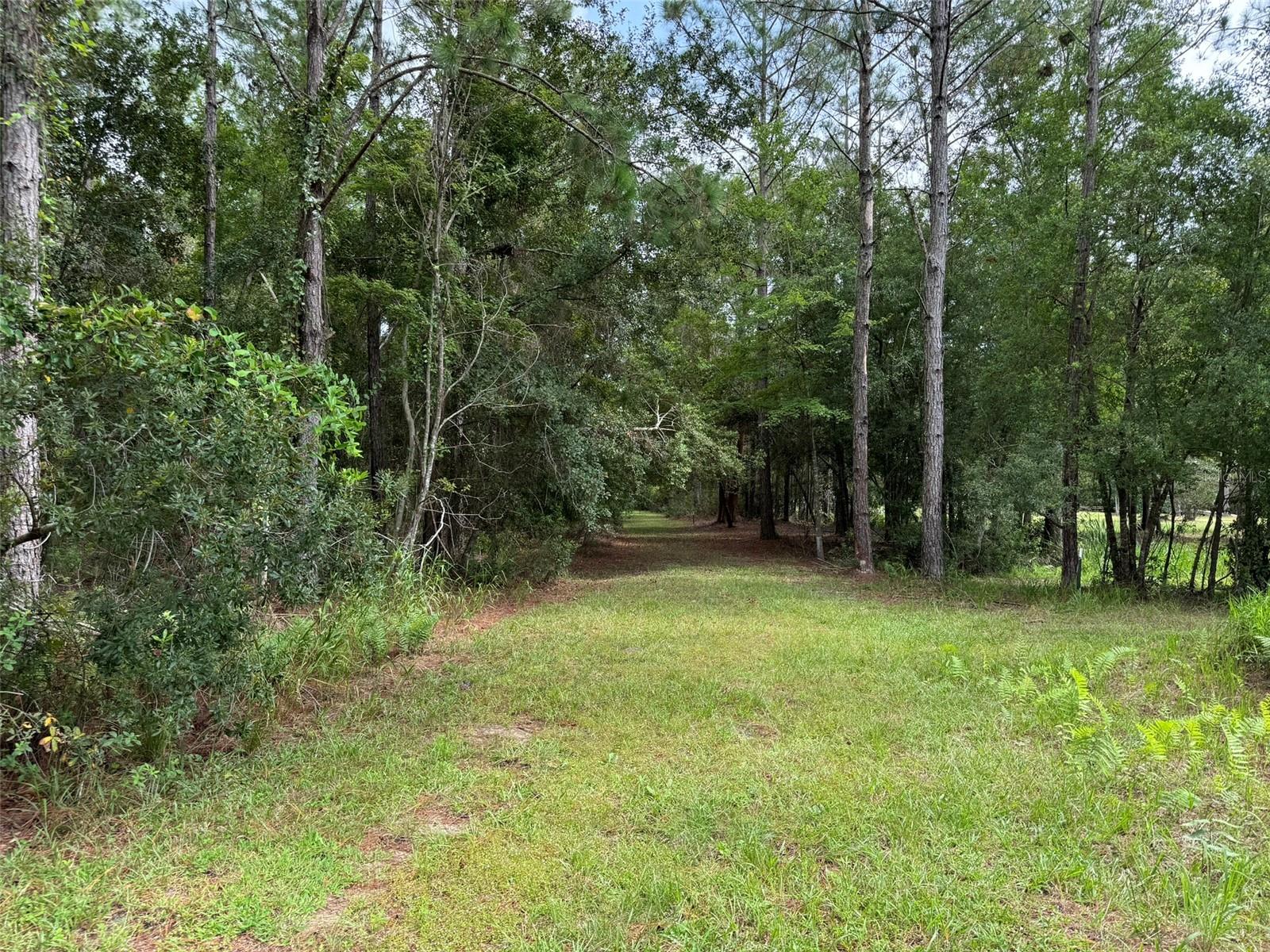 SW 80TH PL, HAMPTON, FL, 32044