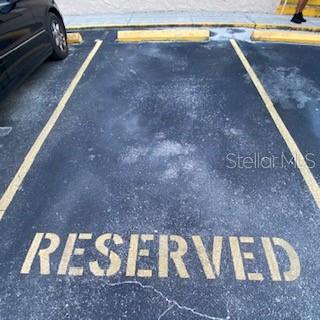 5501 POKEWEED CT #D, TAMPA, FL, 33617