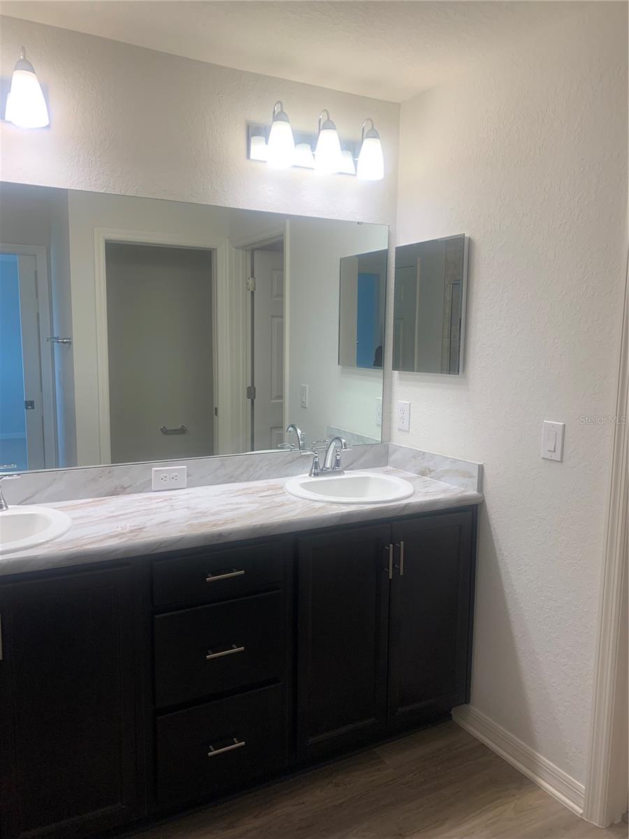 12245 CYPRESS BRANCH ST, RIVERVIEW, FL, 33579
