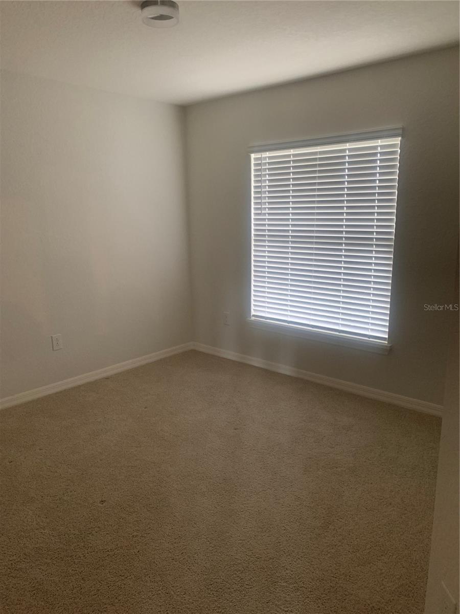 12245 CYPRESS BRANCH ST, RIVERVIEW, FL, 33579