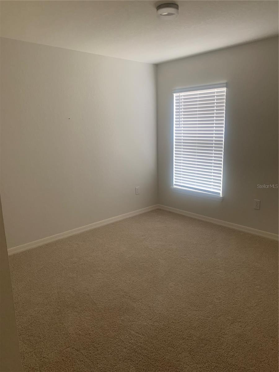 12245 CYPRESS BRANCH ST, RIVERVIEW, FL, 33579
