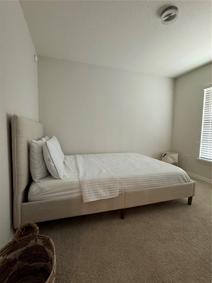 12245 CYPRESS BRANCH ST, RIVERVIEW, FL, 33579