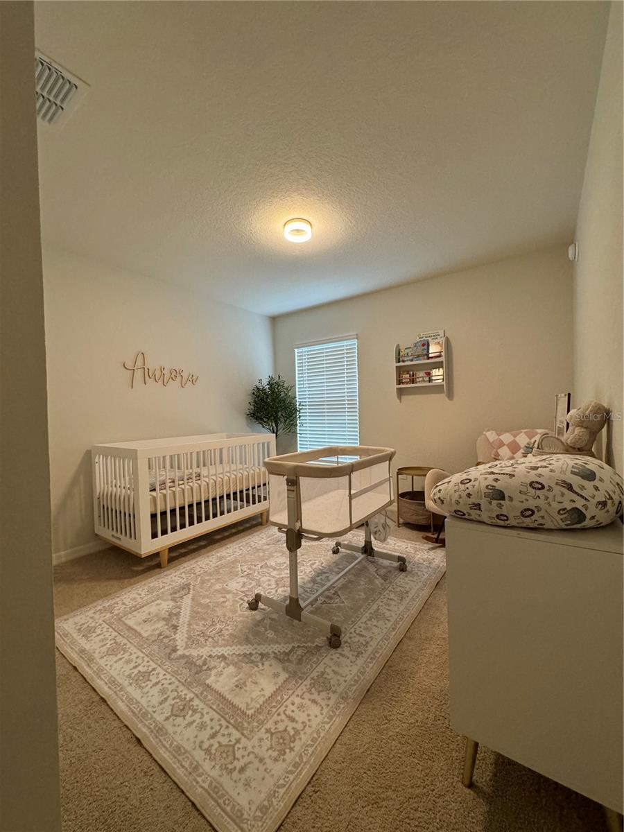12245 CYPRESS BRANCH ST, RIVERVIEW, FL, 33579