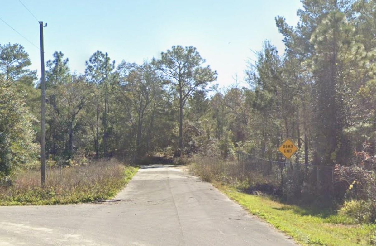 SE 91 COURT RD, SUMMERFIELD, FL, 34491