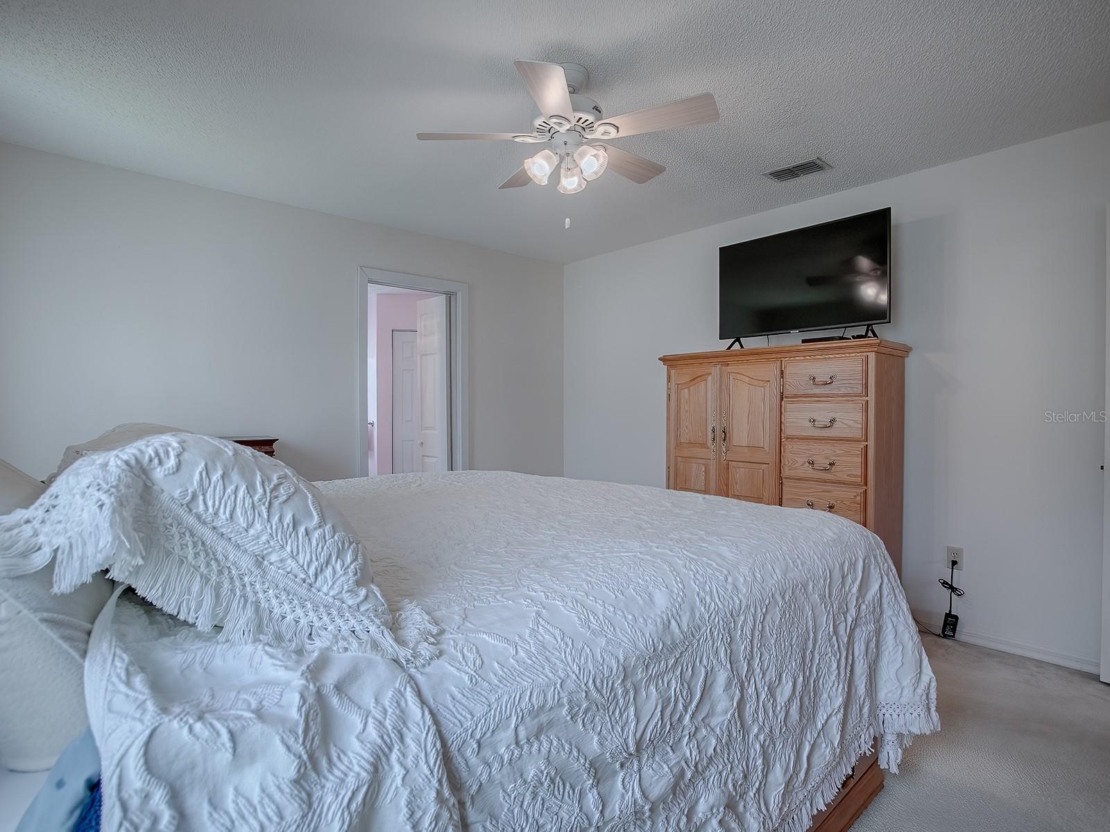 220 WILLOW BROOK DR, LEESBURG, FL, 34748