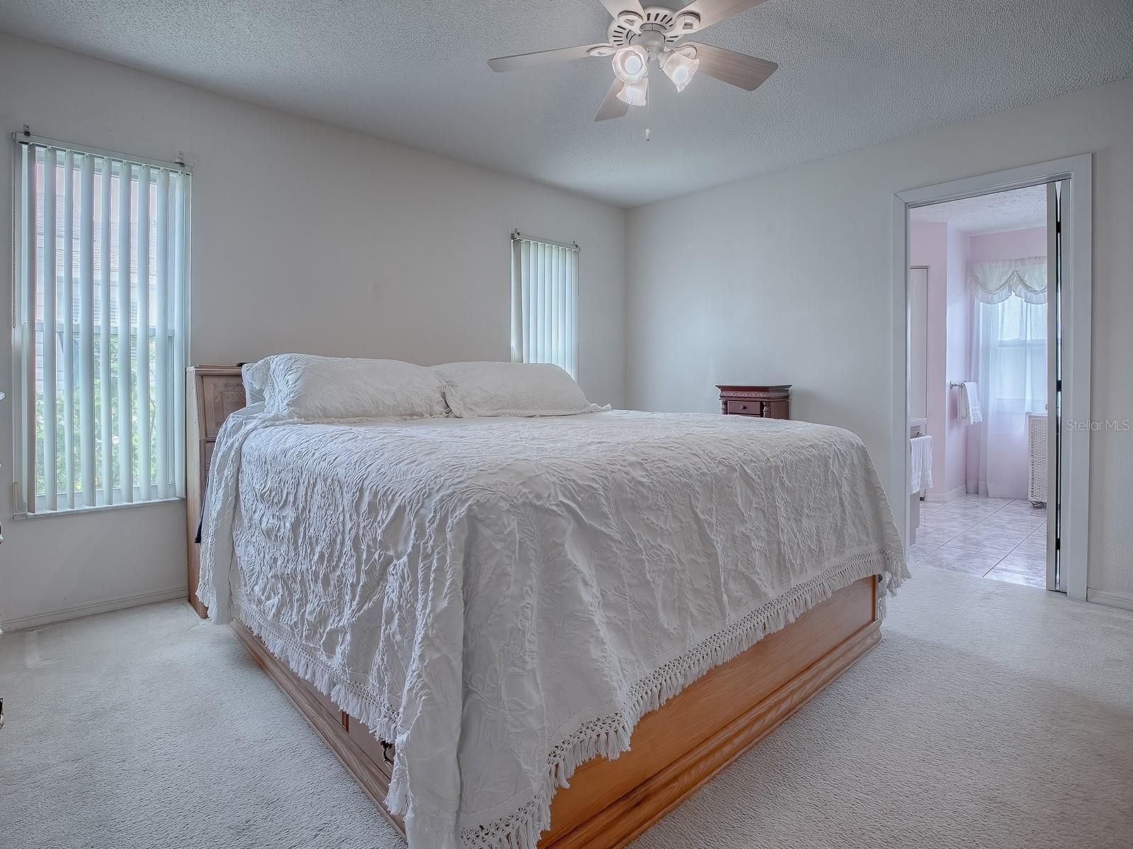 220 WILLOW BROOK DR, LEESBURG, FL, 34748