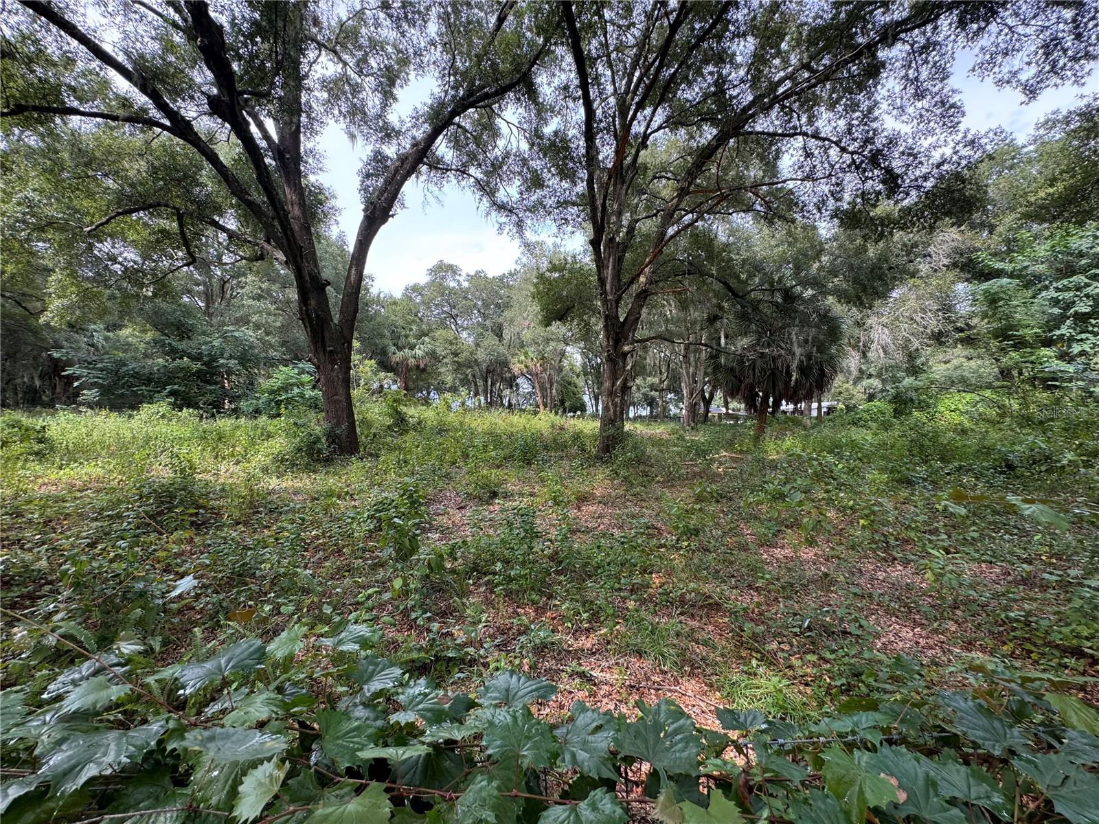 11311 SE 132ND PL, OCKLAWAHA, FL, 32179