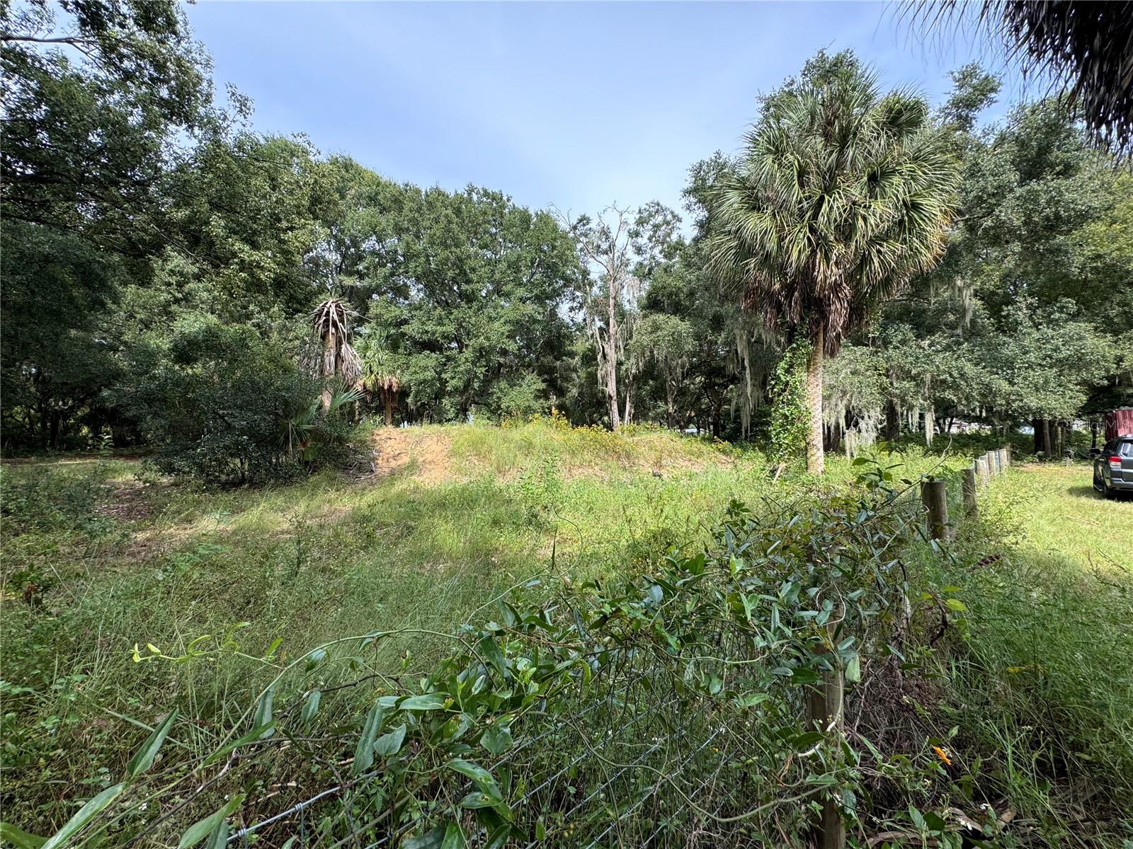 11311 SE 132ND PL, OCKLAWAHA, FL, 32179