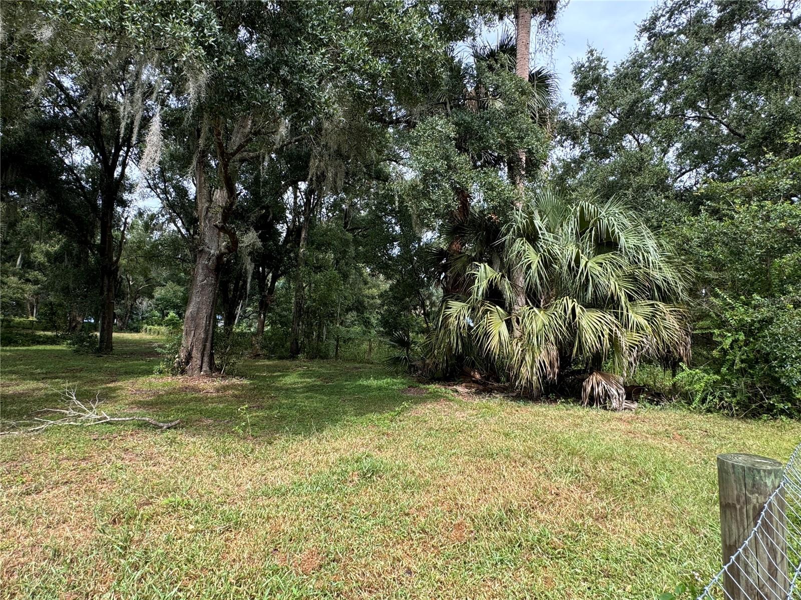 11311 SE 132ND PL, OCKLAWAHA, FL, 32179