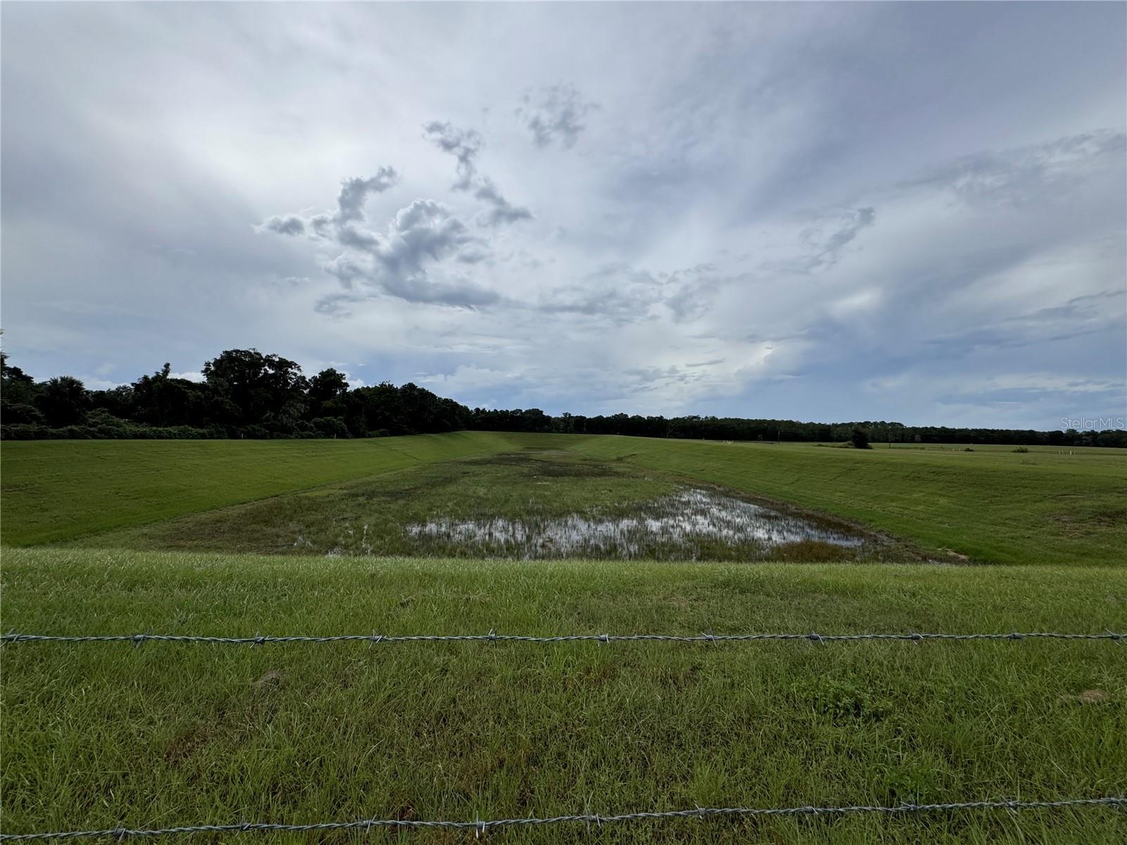 11311 SE 132ND PL, OCKLAWAHA, FL, 32179