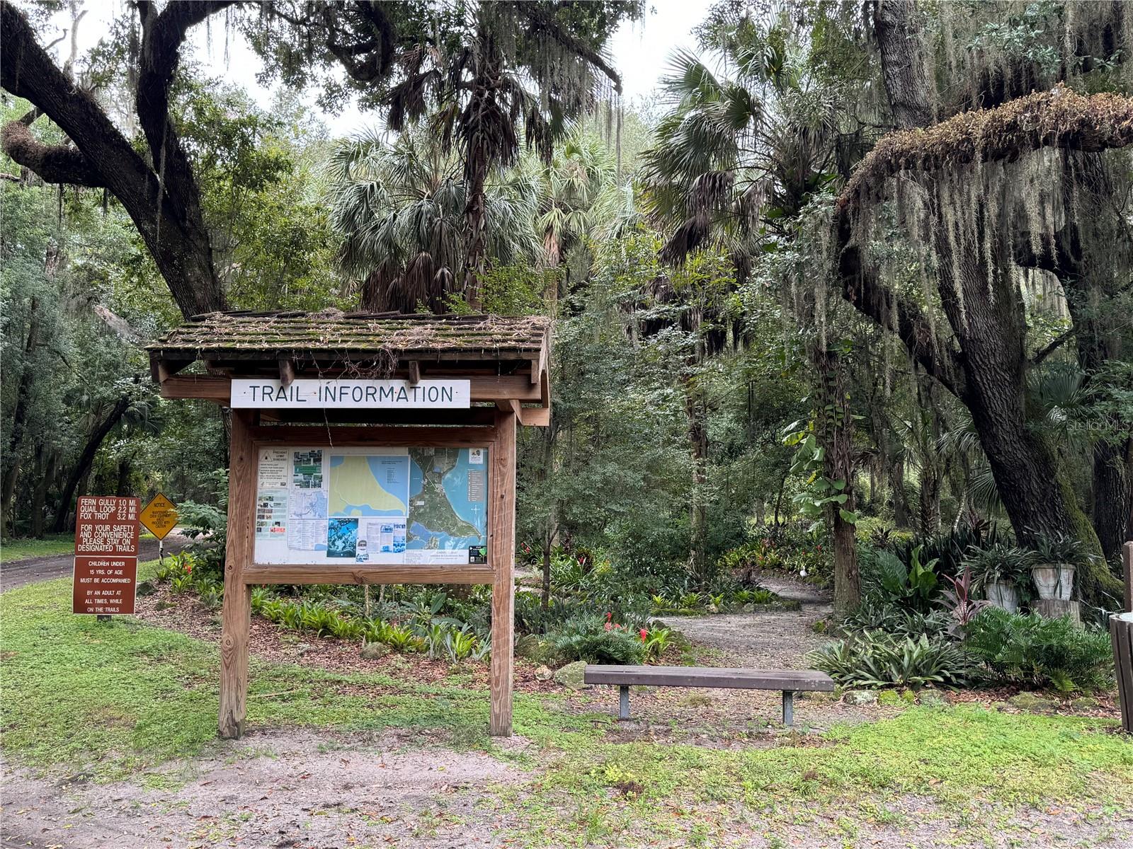 11311 SE 132ND PL, OCKLAWAHA, FL, 32179